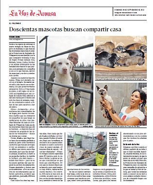 Zeitungsartikel