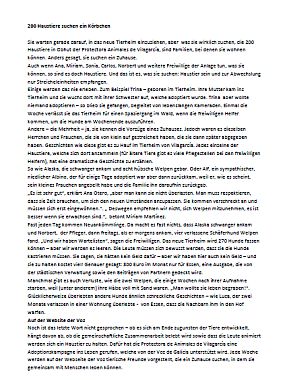 Zeitungsartikel