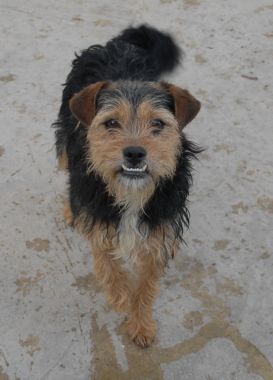 Almendralejo