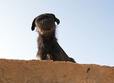 Almendralejo