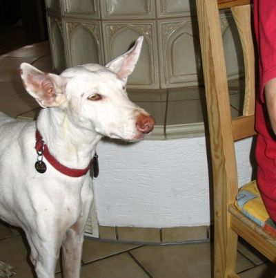 Lilli