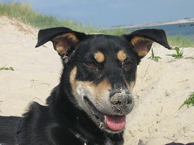 Milka
