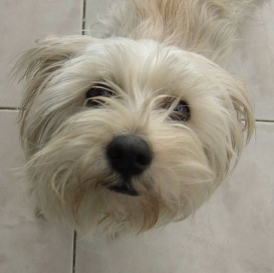lucy
