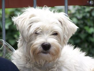 Betty