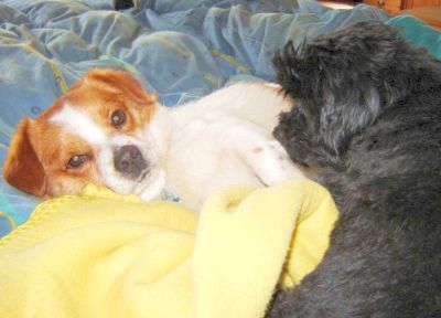 Navida und Chiqui