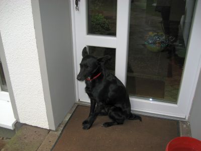 Blacky