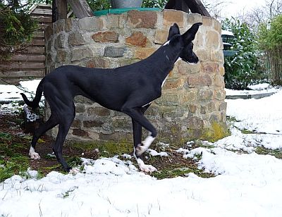 Nubia