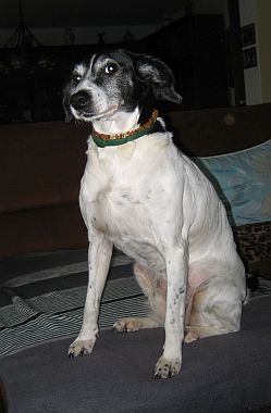 Sophie