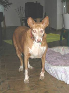 Linda
