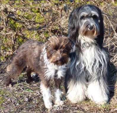 Erfahrungsbericht Claudia von Robby und Bella