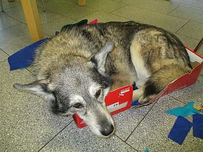 Erfahrungsbericht luna