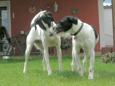 Erfahrungsbericht Lydia von Philly und Johnny