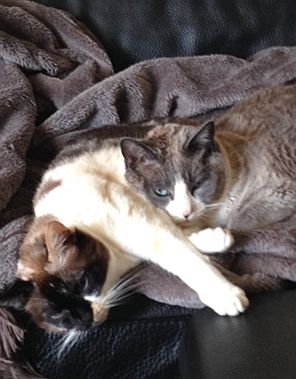 Erfahrungsbericht Manu und Manja