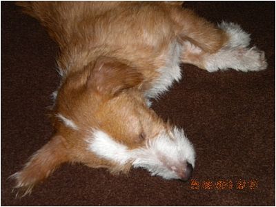 Erfahrungsbericht Rufo