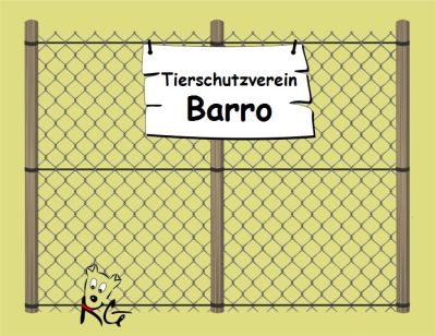 Barro
